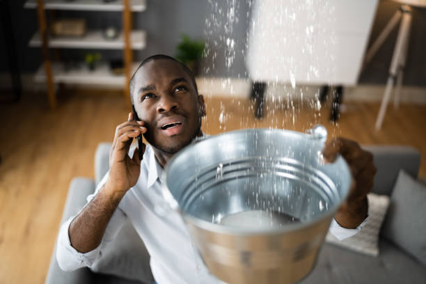 Best Emergency water extraction  in Rock Springs, NM