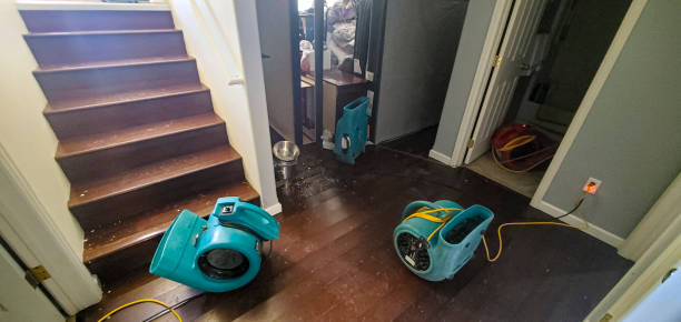Best Water damage restoration company  in Rock Springs, NM
