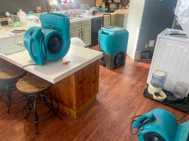 Best 24/7 water damage repair  in Rock Springs, NM