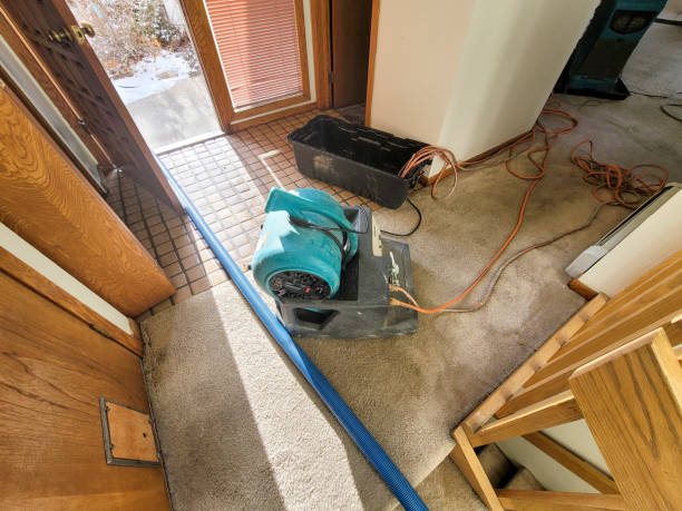 Best 24-hour water damage restoration  in Rock Springs, NM