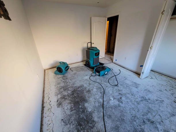 Reliable NM Water damage restoration Solutions