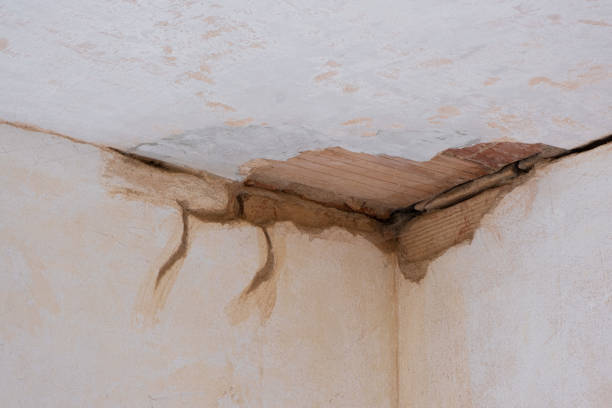 Best Emergency water damage restoration  in Rock Springs, NM