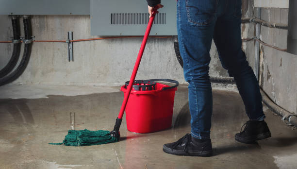 Best Water damage restoration near me  in Rock Springs, NM