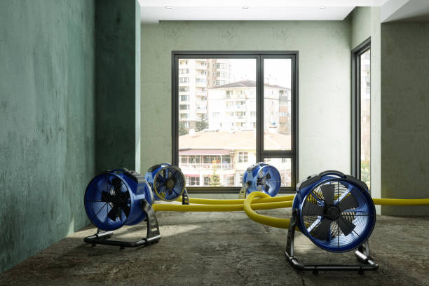 Best Sewage cleanup and water damage restoration  in Rock Springs, NM